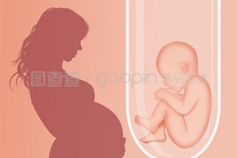 http://wuhan.hy-ly.com/post/208.html|武汉人工试管